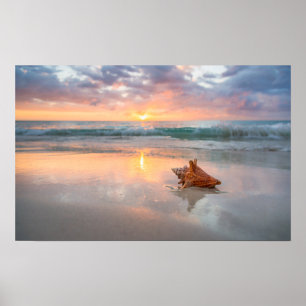 Poster Conch Shell na Praia   Jamaica
