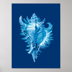 Poster Conch Shell Sea Life Impressão, Indigo Blue e Whit