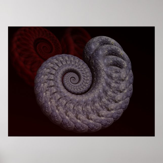 Pôster Concha de Ammonite (Frente)