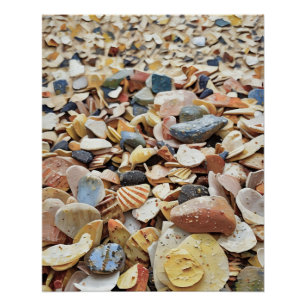 Pôster Conchas Coloridas do Mar em Sandy Beach em um Abst