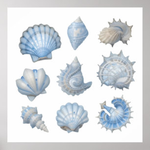Poster Conchas de Aquarela Azul e Branco – Berçário do Oc