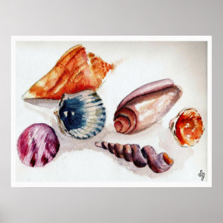 Poster Conchas de Verão