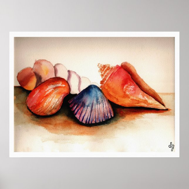 Pôster Conchas De Verão (Frente)
