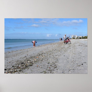 Poster Conchas em Low Tide, Fort Myers Beach, Flórida