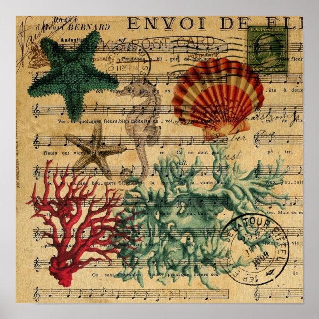 Pôster conchas marinhas costeiras tropicais (Frente)