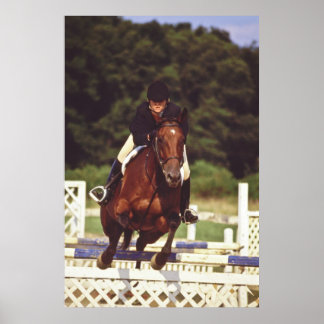 Poster Concurso de Salto de Cavalo -