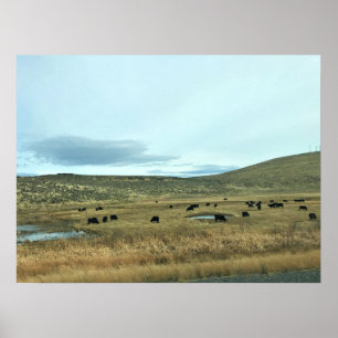 Poster Condado de Baker Rural, Oregon