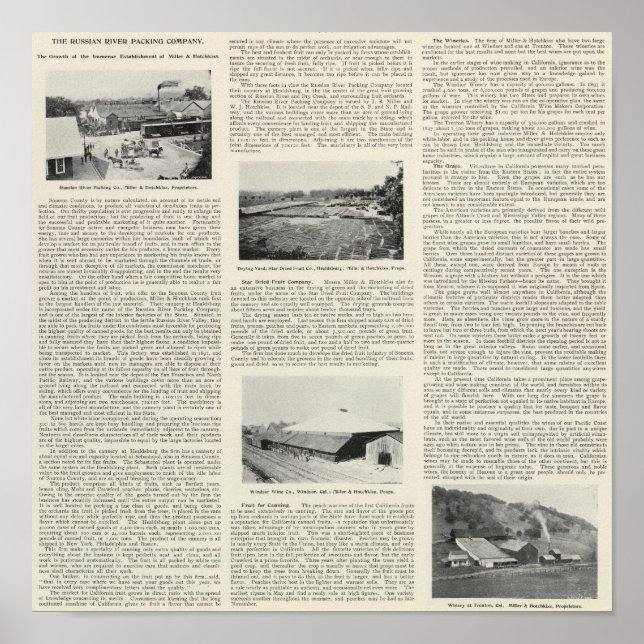 Poster Condado de Sonoma, Califórnia (Frente)