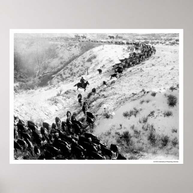 Pôster Conduzindo gado no inverno. (Frente)