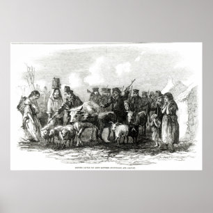 Pôster Conduzindo o gado para o aluguel