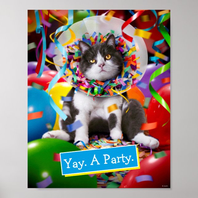 Poster Cone do Cat in Party (Frente)