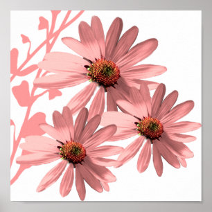Poster ConeFlowers