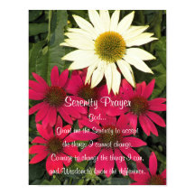 Coneflowers da Oração da Serenidade Imagem Floral