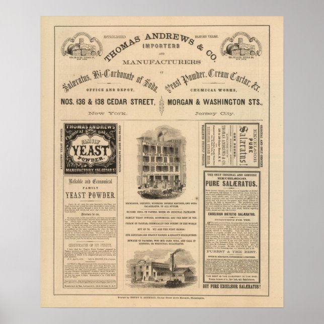 Poster Conexão com Porções de Nova York (Frente)