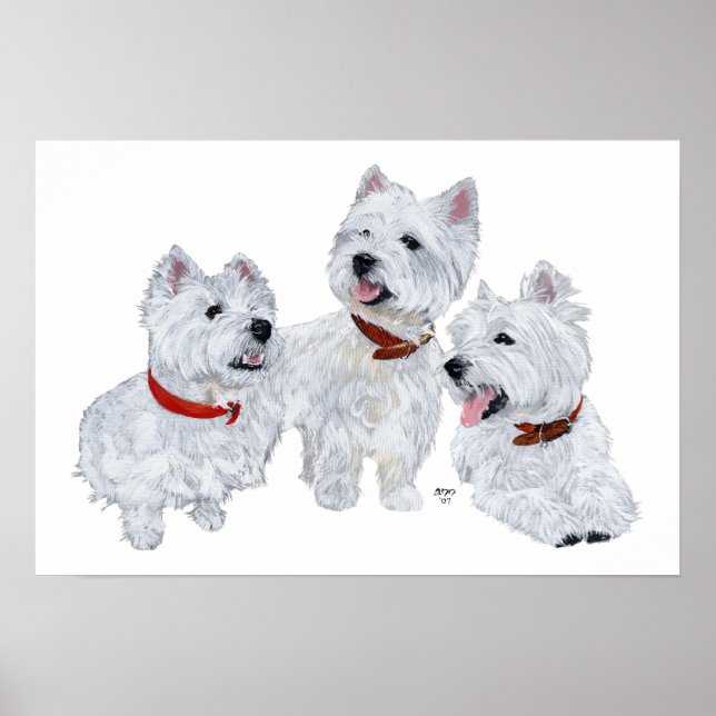 Pôster Conferência Westie (Frente)