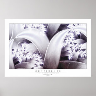 Pôster Confidence