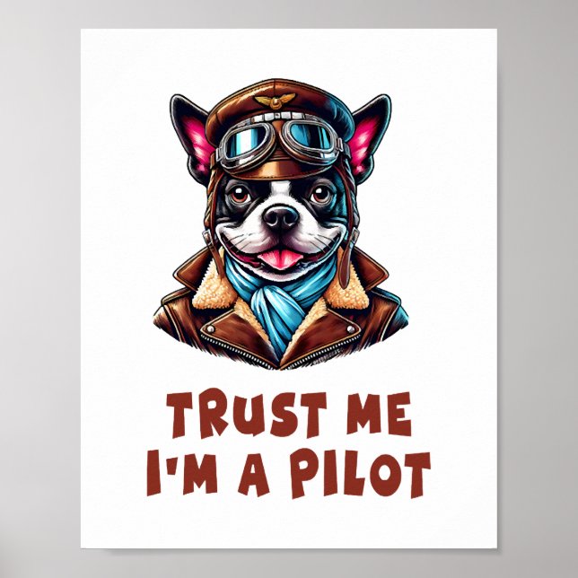 Poster Confie em mim, sou piloto (Frente)