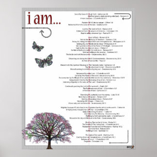 Pôster Confissões Diárias