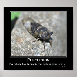 Poster Confucius Quote Beauty Cicada Motivational