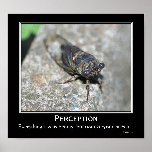 Poster Confucius Quote Beauty Cicada Motivational (Frente)