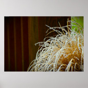 Poster Congelamento de inverno,