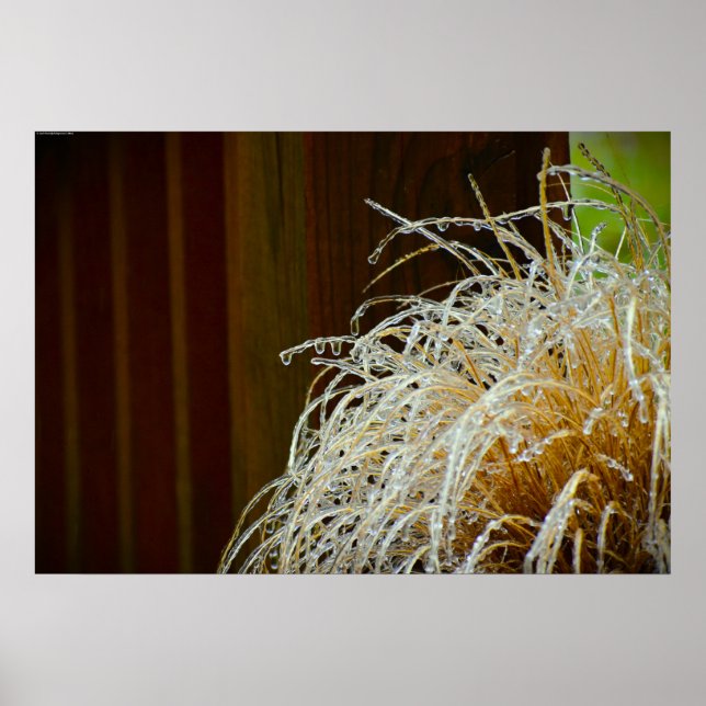 Poster Congelamento de inverno, (Frente)