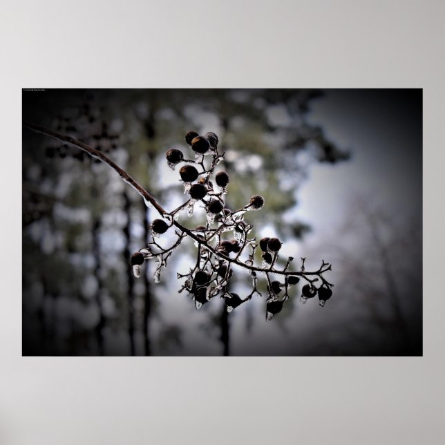 Poster Congelamento de inverno, (Frente)