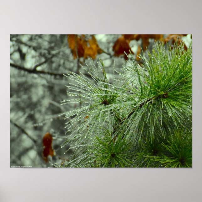 Poster Congelamento de inverno, (Frente)