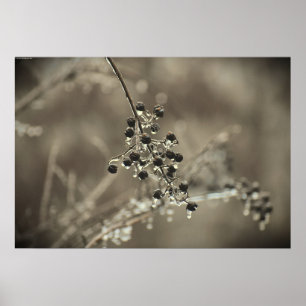 Poster Congelamento de inverno,