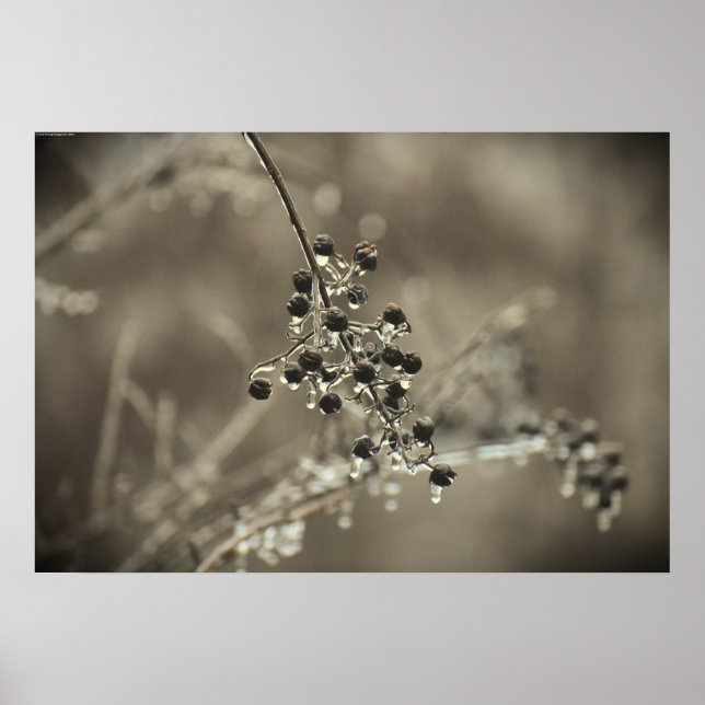 Poster Congelamento de inverno, (Frente)
