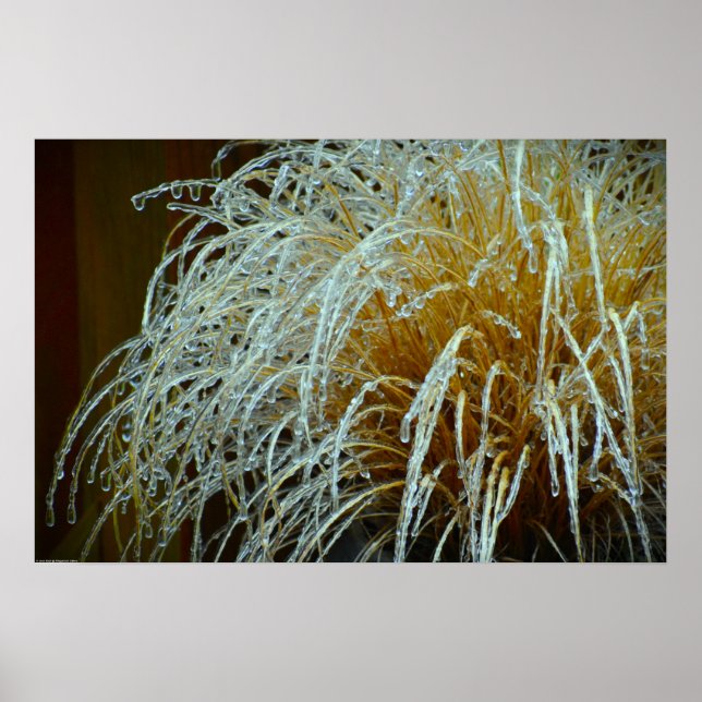 Poster Congelamento de inverno, (Frente)