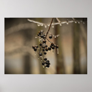 Poster Congelamento de inverno,