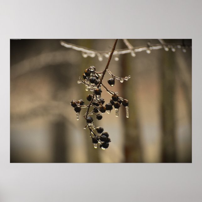 Poster Congelamento de inverno, (Frente)