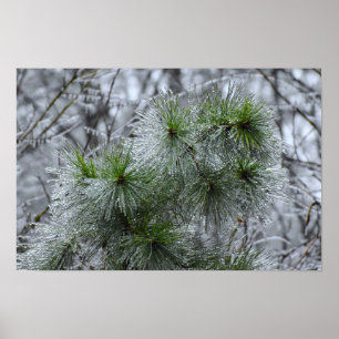 Poster Congelamento de inverno,