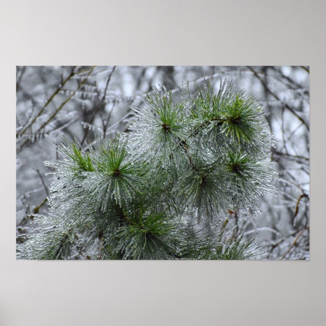 Poster Congelamento de inverno, (Frente)