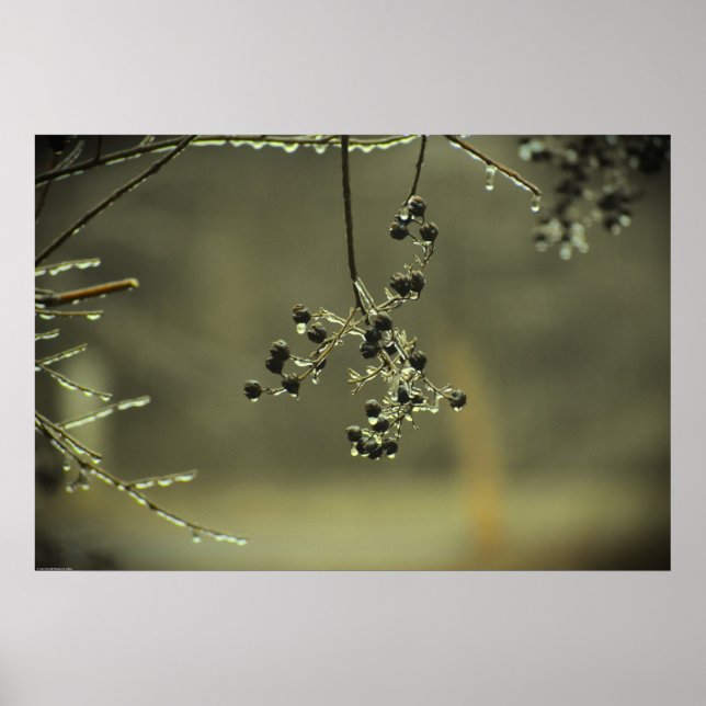 Poster Congelamento de inverno, (Frente)