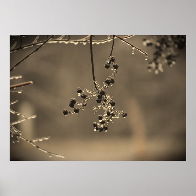 Poster Congelamento de inverno, (Frente)