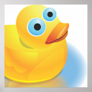 Poster Conheça o Sr. Quack