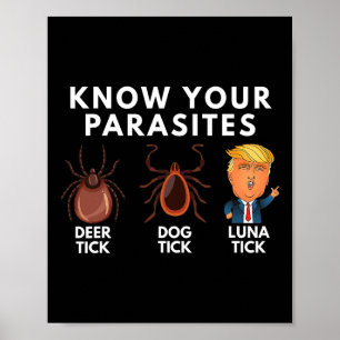 Poster Conheça Os Seus Parasitas Cachorro Dick Tick Luna