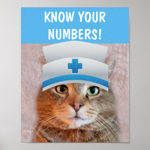 Poster CONHEÇA SEUS NÚMEROS Enfermeira Rupie