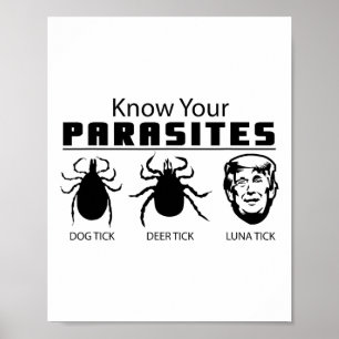 Poster Conheça Seus Parasitas Anti-Trump Af Resistir A Gi