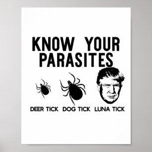 Poster Conheça Seus Parasitas Anti-Trump Resistir À Camis