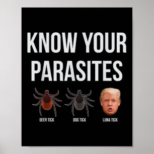 Poster Conheça Seus Parasitas Despejam o Presidente Trump
