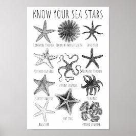 Poster Conheça Suas Estrelas do Mar - Grupos de Starfish