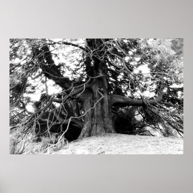 Poster Conhecimento (Frente)