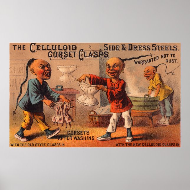 Pôster Conjuntos de córneas celulares tradicionais vitori (Frente)