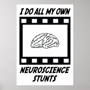 Pôster Conluios da neurociência