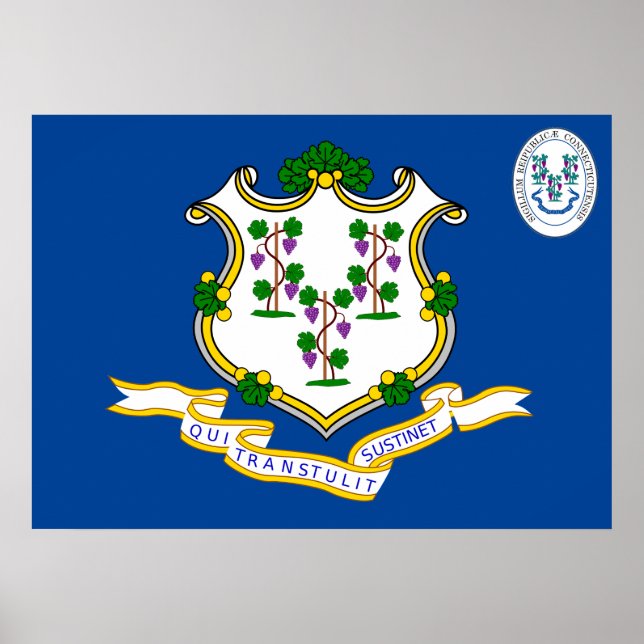 Poster Connecticut flag (Frente)