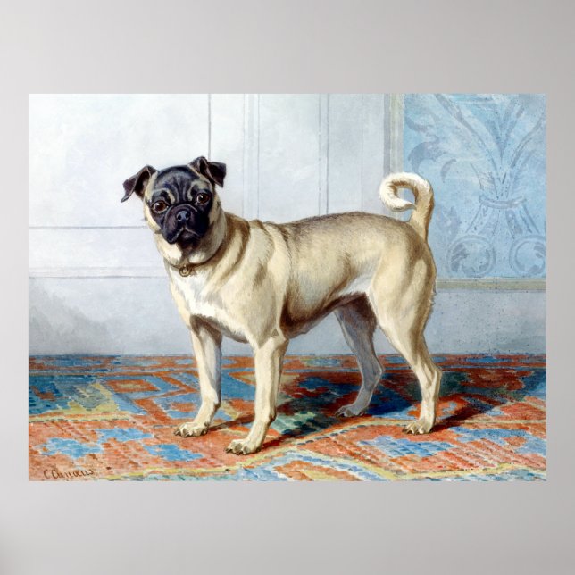Poster Conradijn Cunaeus Retrait de Edwin Vom Rath’s Pug (Frente)