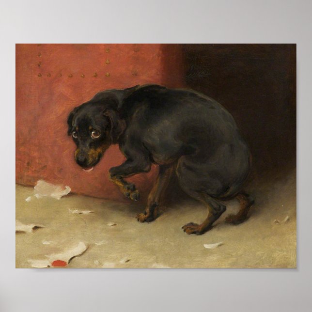 Poster Consciência Faz Borricas De Todos Nós (Frente)